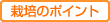 栽培のポイント