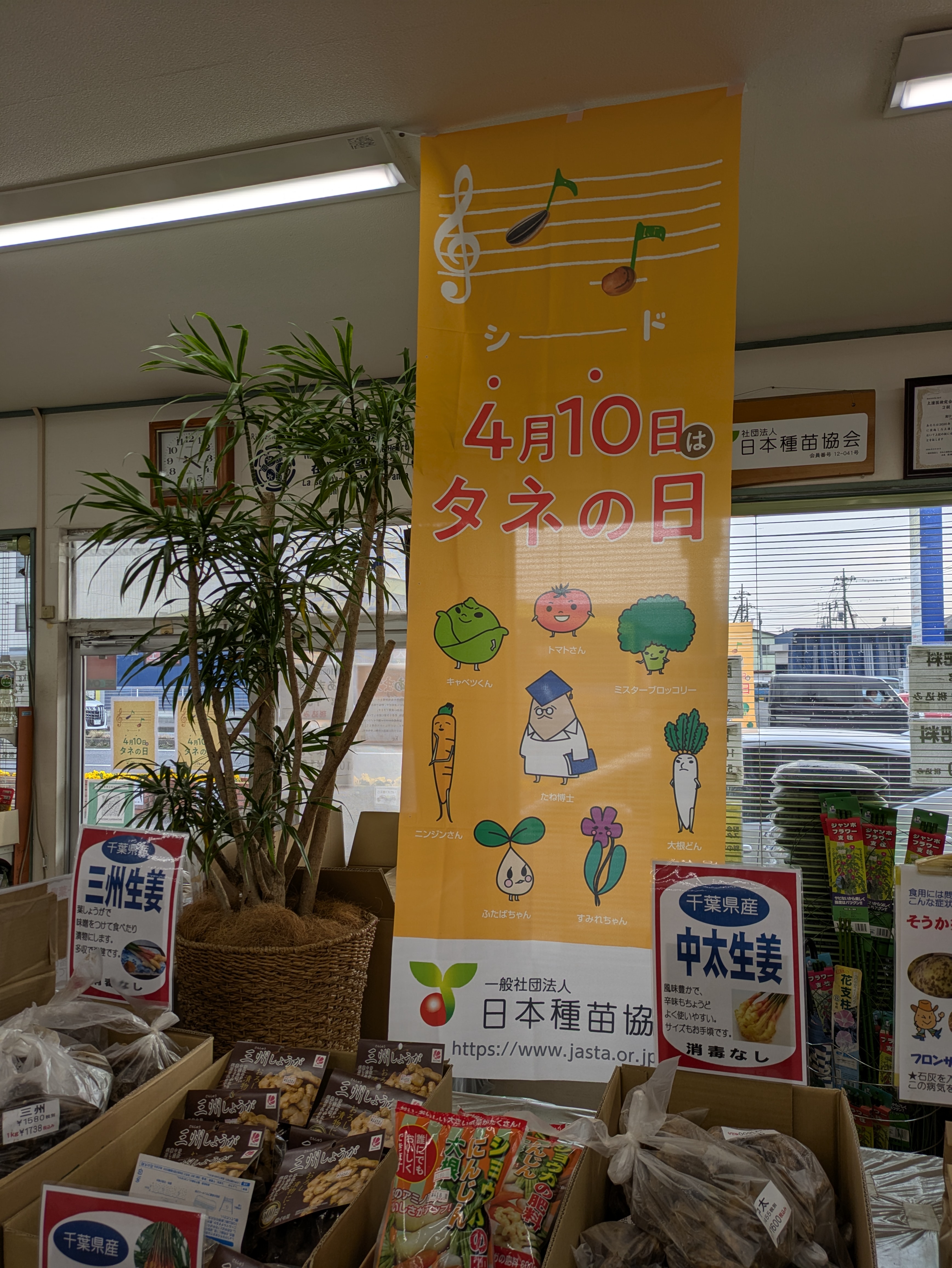 イベント情報