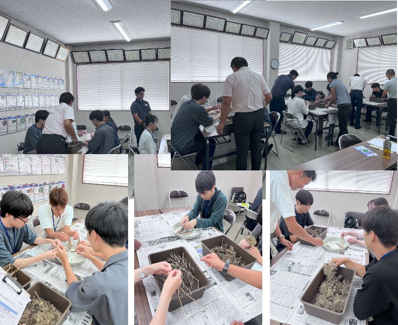 イベント情報