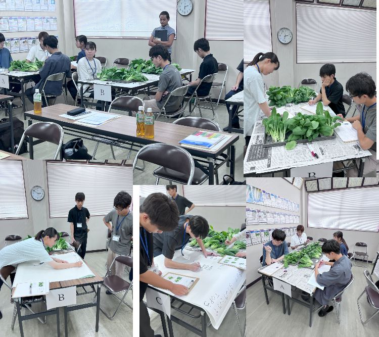 イベント情報