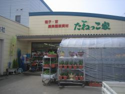 菊地種苗株式会社 