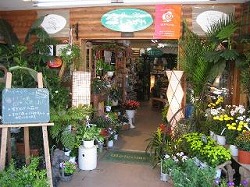 清水屋種苗園芸