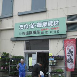 有限会社 遠藤種苗