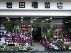 岩田種苗店