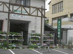 有限会社 キントラ種苗