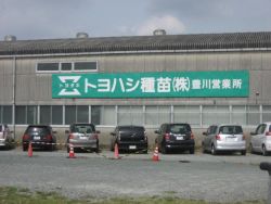 トヨタネ株式会社 豊川営業所