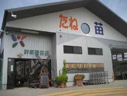 畔柳種苗店