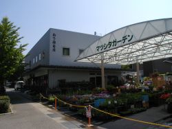 有限会社 松下種苗店