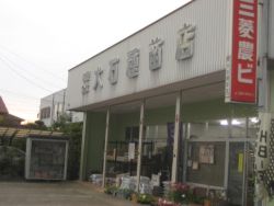 有限会社 大石種苗店