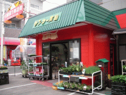 サンコー農園
