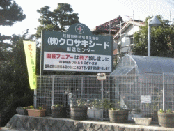 株式会社 クロサキシード