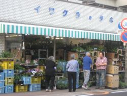 岩倉種苗店