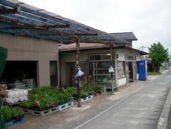 花田種苗店