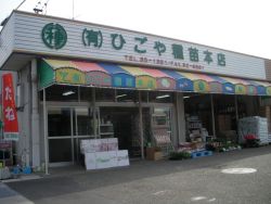 有限会社 ひごや種苗本店