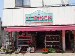 エコダ種苗店