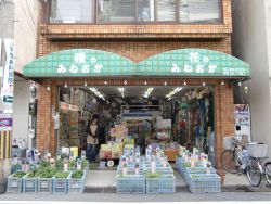 みねおか種苗本店