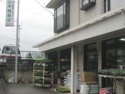 有限会社 山本種苗店