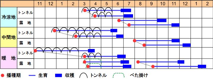 栽培の目安表