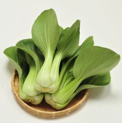 ニイハオ夏華(なつか)