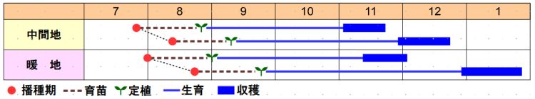 栽培の目安表
