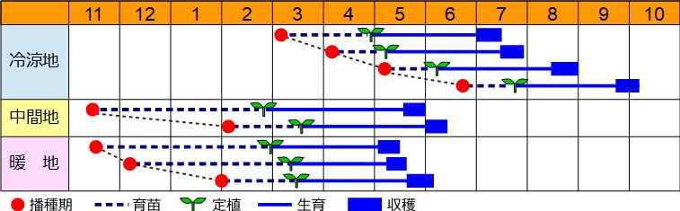 栽培の目安表