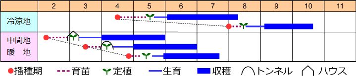 栽培の目安表