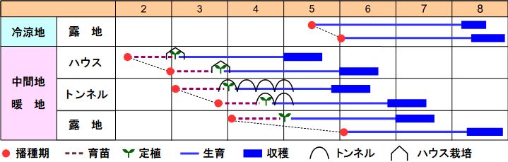 栽培の目安表